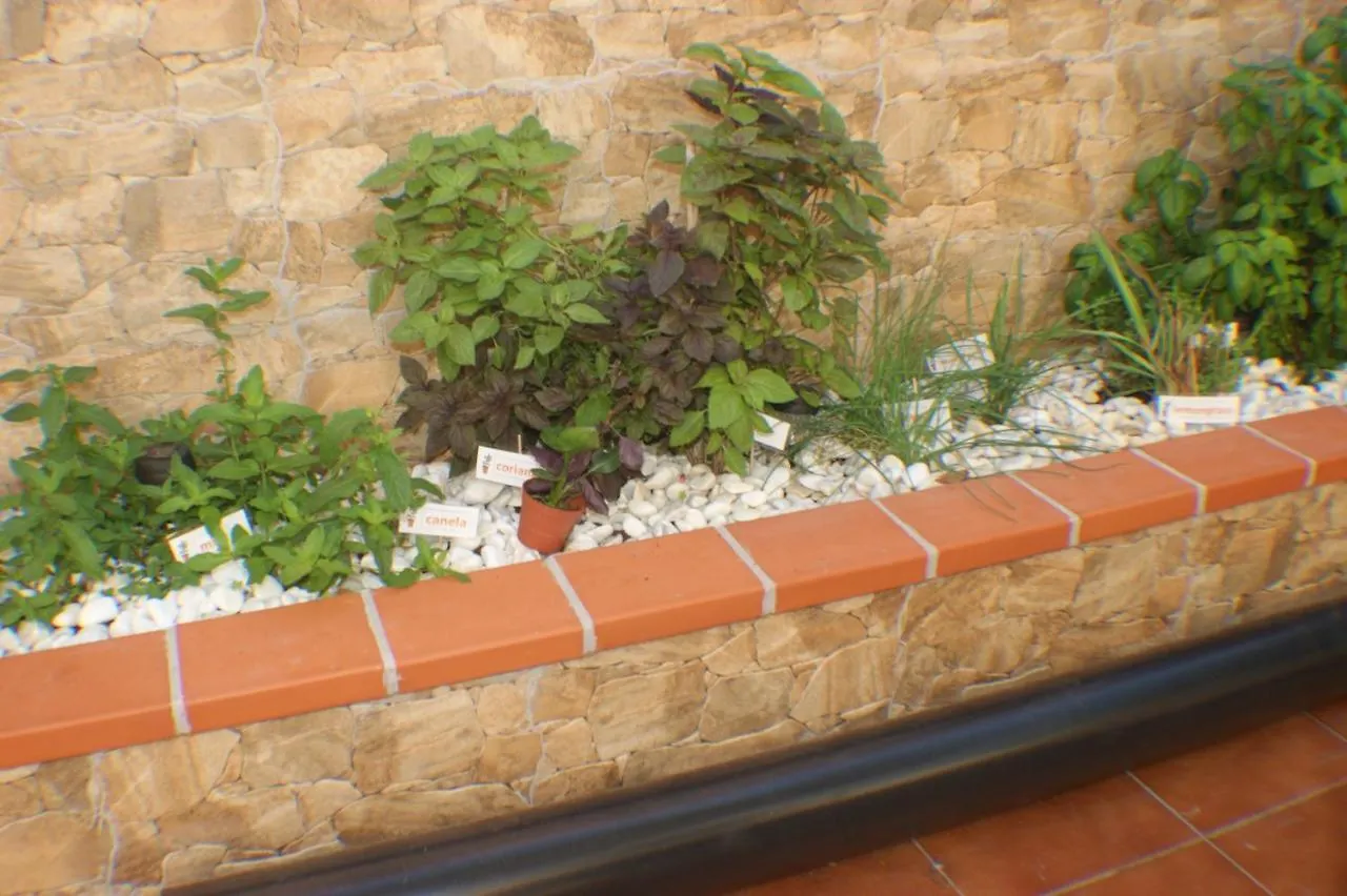 Guest house 73 Camino La Sabina Hotel Icod De Los Vinos